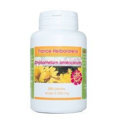 CHRYSANTELLUM Americanum GELS 120 Kapseln mit einer Dosierung von 240 mg. - France Herboristerie