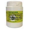 TRIBULUS GELULES 120 capsules with 300 mg dose. - France Herboristerie