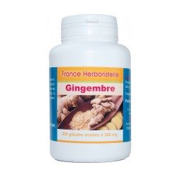 GINGEMBER GLULES rhizome 120 capsules with 270 mg dose. - France Herboristerie