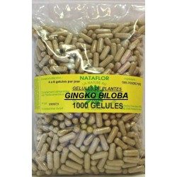 GINGKO-BILOBA GELES 240 Kapseln mit einer Dosierung von 250 mg. - France Herboristerie
