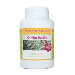 OLIVIER GLULES sheet 120 230 mg hard capsules - France Herboristerie