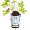 Stomach Int Complex - Aulne, Figuier and Tilleul Bourgeons - Gemmotherapy 50ml bottle