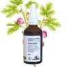 Stomach Int Complex - Aulne, Figuier and Tilleul Bourgeons - Gemmotherapy 50ml bottle