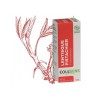 Essential oil LENTISQUE PISTACHIER (Pistacia lentiscus) BIO - 10ml
