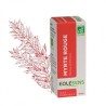 Essential oil MYRTE RED (Myrtus communis) BIO - 10ml
