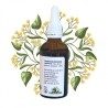 Complejo de dormir - Saule & Tilleul Bourgeons - Gemmoterapia 50 ml botella