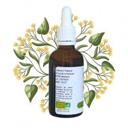 Complexe Sommeil - Bourgeons de Saule & Tilleul - Gemmothérapie Flacon de 50ml