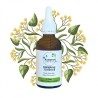 Complexe Sommeil - Bourgeons de Saule & Tilleul - Gemmothérapie Flacon de 50ml