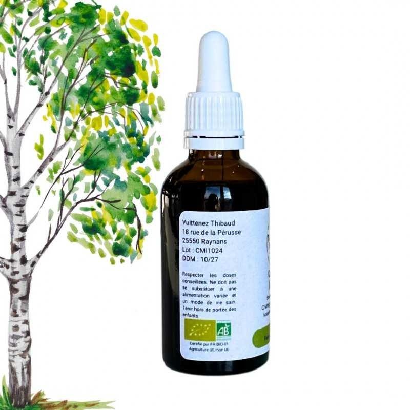 Climbing Complex - Bougeons de Bouleau, Châtaignier, Noisetier - Gemmotherapy 50ml bottle Climbing Complex - Bougeons de Bouleau, Châtaignier, Noisetier - Gemmotherapy 50ml bottle
