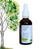 Climbing Complex - Bougeons de Bouleau, Châtaignier, Noisetier - Gemmotherapy 50ml bottle