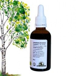 Complejo de escalada - Bougeons de Bouleau, Châtaignier, Noisetier - Gemmotherapy 50ml bottle