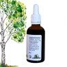 Climbing Complex - Bougeons de Bouleau, Châtaignier, Noisetier - Gemmotherapy 50ml bottle