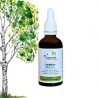 Climbing Complex - Bougeons de Bouleau, Châtaignier, Noisetier - Gemmotherapy 50ml bottle