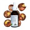 Alcoholature de Marron d'Inde - Aesculus hippocastanum - 50ml bottle