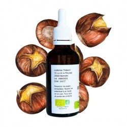 Alcoholature de Marron d'Inde - Aesculus hippocastanum - 50ml bottle