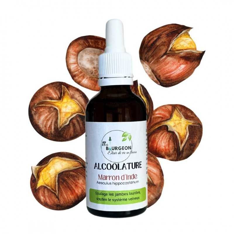 Alcoholature de Marron d'Inde - Aesculus hippocastanum - 50ml bottle Alcoholature de Marron d'Inde - Aesculus hippocastanum - 50ml bottle