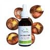 Alcoholature de Marron d'Inde - Aesculus hippocastanum - 50ml bottle