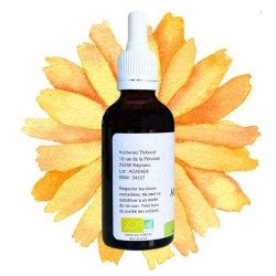Calendula alcoholature - Calendula officinalis - 50ml bottle