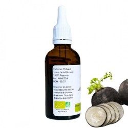 Black Radis Alcoholature - Raphanus sativus - 50ml bottle