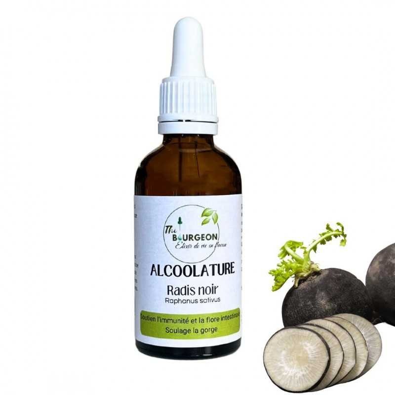 Schwarzer Rettichalkohol – Raphanus sativus – 50-ml-Flasche