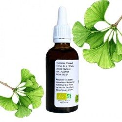 Ginkgo alcoholature - Ginkgo biloba - 50 ml botella