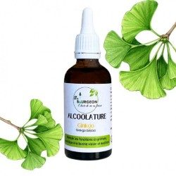 Ginkgo alcoholature - Ginkgo biloba - 50ml bottle