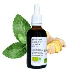 Mint Ginger - Mentha gracilis - 50ml bottle