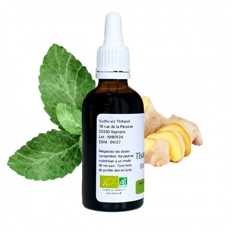 Mint Ginger - Mentha gracilis - 50ml bottle Mint Ginger - Mentha gracilis - 50ml bottle
