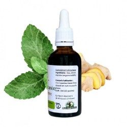 Mint Ginger - Mentha gracilis - bottiglia 50ml