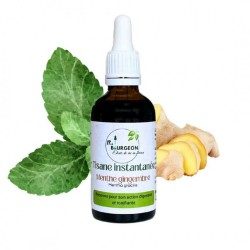 Tisane instantanée Menthe Gingembre - Mentha gracilis - Flacon de 50ml