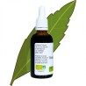 Verveine instant tea - Aloysia citrodora - 50ml bottle