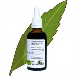 Verveine instant tea - Aloysia citrodora - 50ml bottle
