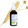 Tilleul instant tea - Tilia cordata - 50ml bottle