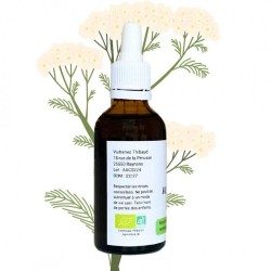 Alcoolature d'Achillée Millefeuille - Achillea millefolium - Flacon de 50ml