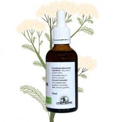 Alcoolature d'Achillée Millefeuille - Achillea millefolium - Flacon de 50ml