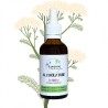 Achillea alcoholature Millefeuille - Achillea millefolium - 50ml bottle