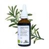 Rosmarinus officinalis - 50ml Flasche