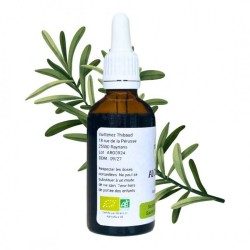 Alcohólico Rosemary - Rosmarinus officinalis - 50 ml botella