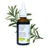 Alcohólico Rosemary - Rosmarinus officinalis - 50 ml botella