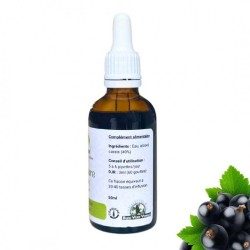 Alcoolature de Cassis - Ribes nigrum - Flacon de 50ml