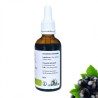 Alcoholatur de Cassis - Ribes nigrum - 50ml Flasche