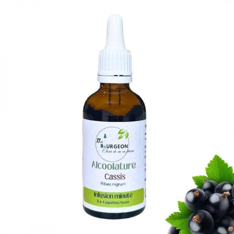 Alcoolature de Cassis - Ribes nigrum - Flacon de 50ml