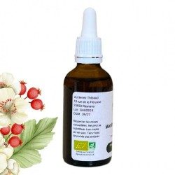 Macérât de bourgeons d'Aubépine - Gemmo - Crataegus monogyna - 50ml
