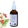 Weißdornknospenmazerat - Gemmo - Crataegus monogyna - 50ml