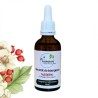 Macérât de bourgeons d'Aubépine - Gemmo - Crataegus monogyna - 50ml