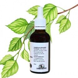 Birch bud macerate - Gemmo - Betula alba - 50ml