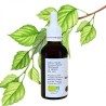 Birch bud macerate - Gemmo - Betula alba - 50ml
