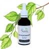 Birch bud macerate - Gemmo - Betula alba - 50ml