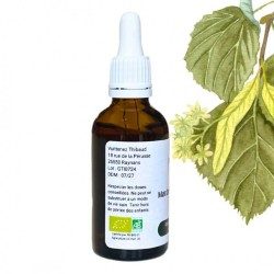 Tilleul Bud Macerat - Gemmo -Tilia cordata - 50 ml botella