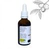 Noyer buddies, gammatherapy, macerate. 50ml bottle.